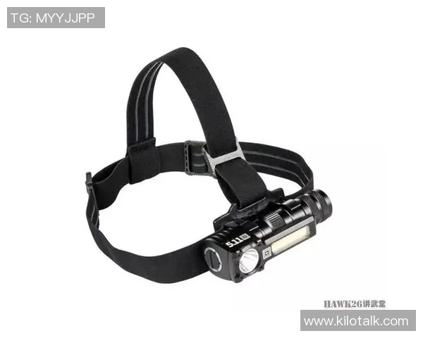 V5战队的盯防体系解析与英雄联盟战术的深度探讨